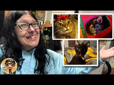 SNOWED IN: DAY 5.  KITTY INTRODUCTIONS!!!