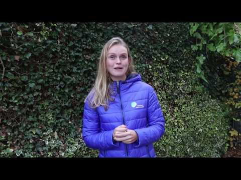 Sanne de Hoop, Combinatiefunctionaris