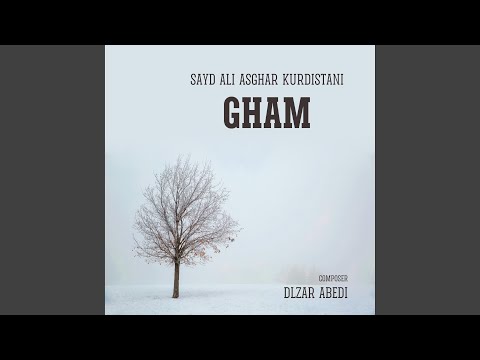 Gham (feat. Seyed Ali Asghar Kurdistani)