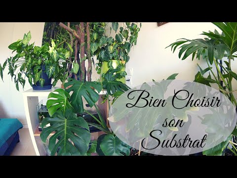 , title : 'COMMENT BIEN CHOISIR le SUBSTRAT pour Vos PLANTES D’INTÉRIEUR,  INFOS et ASTUCES pour la CROISSANCE'