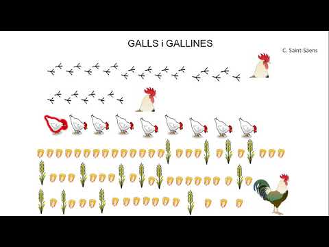 Musicograma Gallos y gallinas Saint-Säens