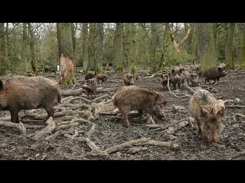 Multimedia-Rundgang 1