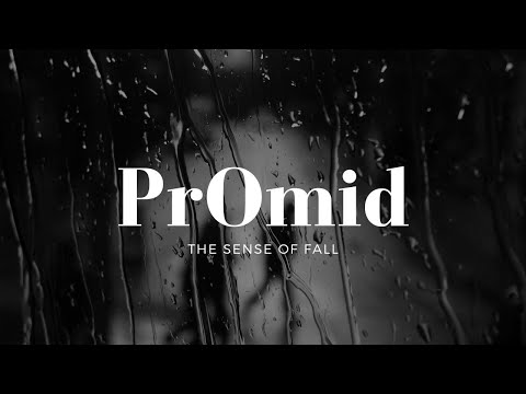 PrOmid Feat Omid Mahramzadeh -  THE SENSE OF FALL