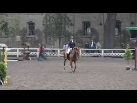 1 przejazd w L sobota