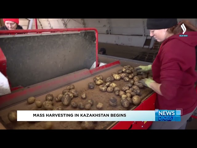 Орақ науқаны қарқын ала түсті