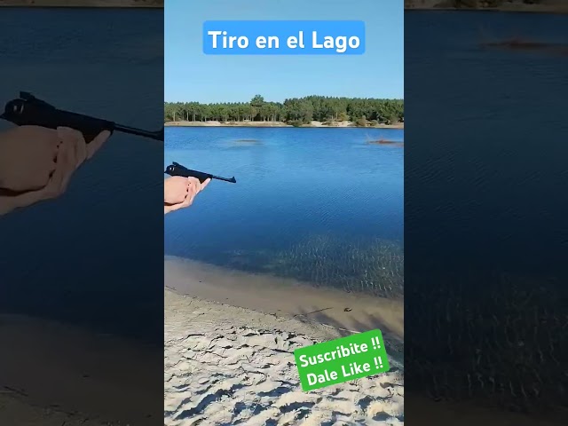 Vídeo relacionado con Pack Pistola Perdigón Artemis SP500. Cal 5,5mm + Funda + balines. 36580/23054