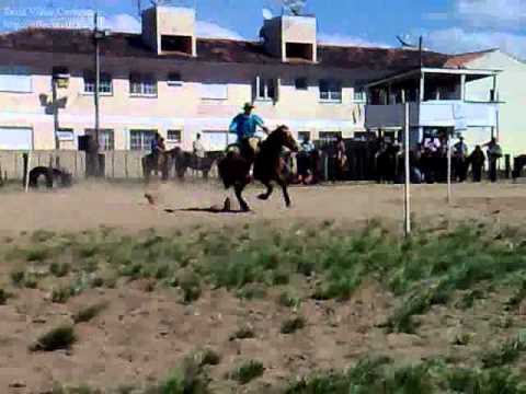 Gustavo 1° lugar redea adulto set.2010 CTG camaquã.wmv