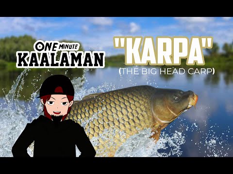 THE PETS TV CHANNEL PHILLIPINES  ONE MINUTE KAALAMAN - KARPA