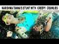 Khatron Ke Khiladi 10 Full Update Balraj S Aquaphobia Karishma Tanna S Stunt With Creepy Crawlies