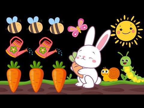 Spring Garden Fun! Baby Sensory with High Contrast and Visual Stimulation