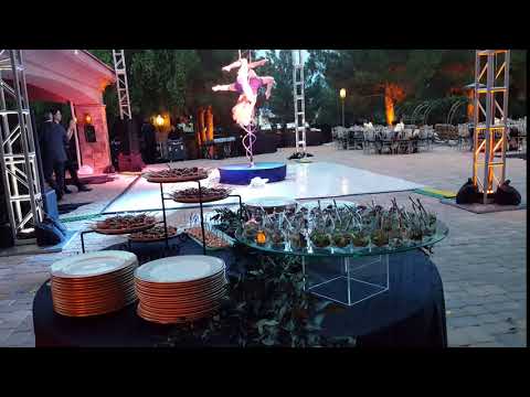 Renaissance Catering and Odd Monkey Events video.