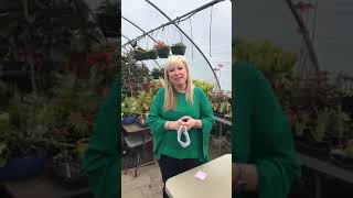 Show Me Schenectady - Schenectady ARC Horticulture Center