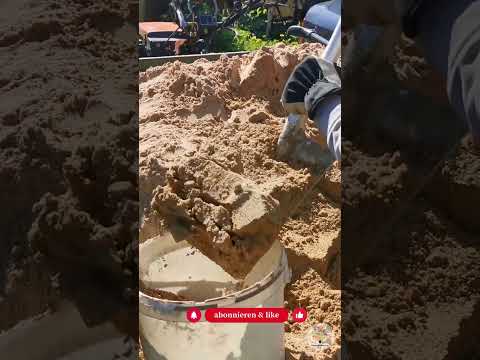 Miniteich im Kübel anlegen: Biodiversität auf kleinstem Raum