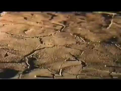 Selva De Pedra Abertura (1986)