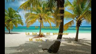 Y Te Vas   Jose Luis Perales   Con Letras