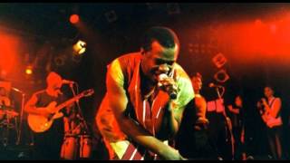 Dele Sosimi & Afrobeat Orchestra - Too Much Information (Laolu Remix)