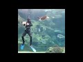 Scuba diver creatively defends himself against a rogue sea turtle
