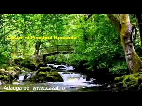 Cazare Bod, Brasov - Cazat.ro