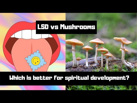 LSD vs Psilocybin Mushrooms: Key Differences (which is better for spiritual development?)