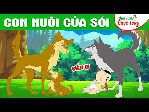 CON NUÔI CỦA SÓI - Phim hoạt hình - Truyện cổ tích - Hoạt hình hay - Cổ tích - Quà tặng cuộc sống
