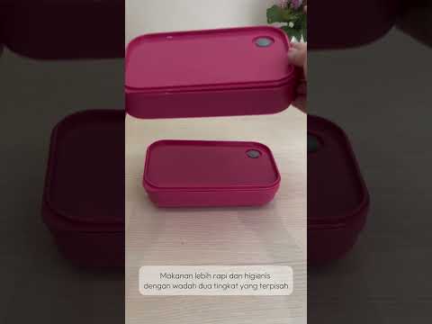 Gambar Picas Lunchie Kotak Makan Plastik Set 4 pcs - Pink