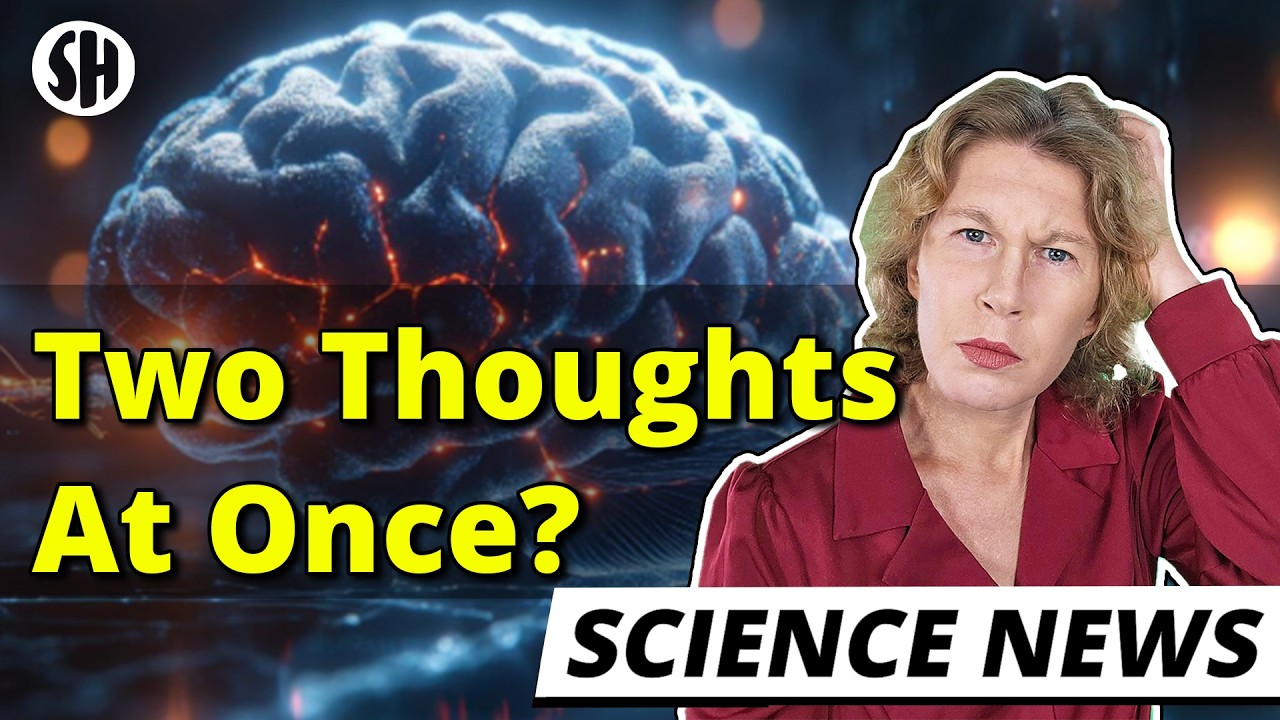 Quantum Effects Can Shape Human Thought, Physicist Shows
