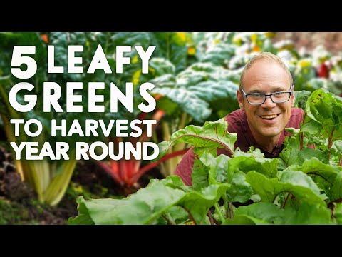 7 Must Grow Plants for 2025