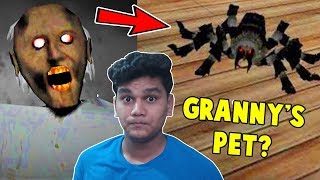 NEW GRANNY UPDATE ( New Pet , Car Escape) - Granny Horror Game (Free android Game)
