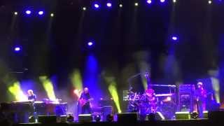 PHISH : Wombat : {1080p HD} : Northerly Island : Chicago, IL : 7/18/2014