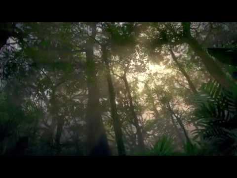 Great animated Olympics latest