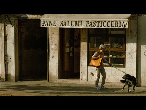 𝗝𝗮𝘇𝘇 𝗣𝗶𝗮𝗻𝗼 l 봄에 비춰지는 거리의 온도, 행복 그 자체