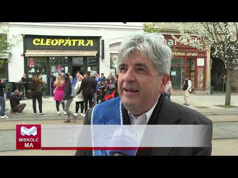 Videó előnézet