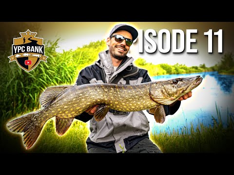 ---- | YPC Bank Episode 11