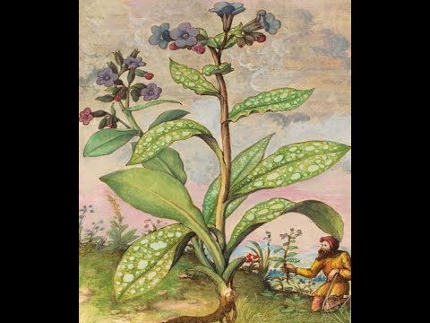 Anteprima: A caccia di tesori arceviesi