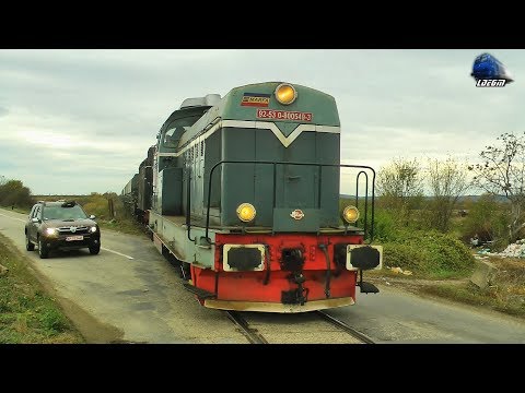 LDH 80-0549-3 & Locomotiva cu Abur 230.214 Steam Locomotive/Dampflok in Sebiș - 04 November 2019