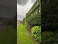 Regent S University London Regentspark London Londonlife University Nature Makeba Fyp Viral
