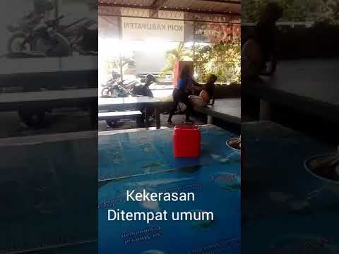 Meningkatkan cream potensi Yang tanaman meningkatkan anggota