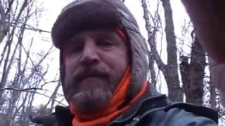 Download Lagu TRAPPING 2016-17, Episode 3: Bobcat, Coyotes, Grey Fox and Raccoon! Thumbnail