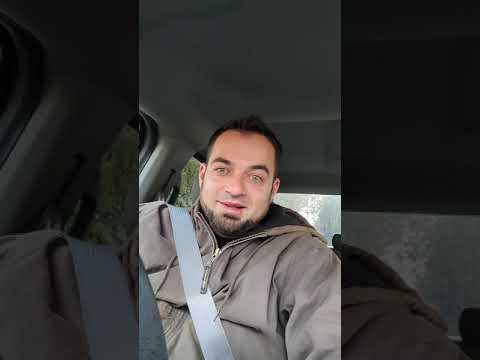 How to become a Dog Trainer