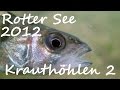 Diving - Rotter See 2012 - Krauthöhlen 2 - Europa, Rottersee - 53840 Troisdorf, Deutschland, Nordrhein-Westfalen