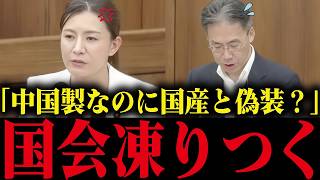 中国製EVに税金を投入！？参政党議員が徹底追求【参政党】