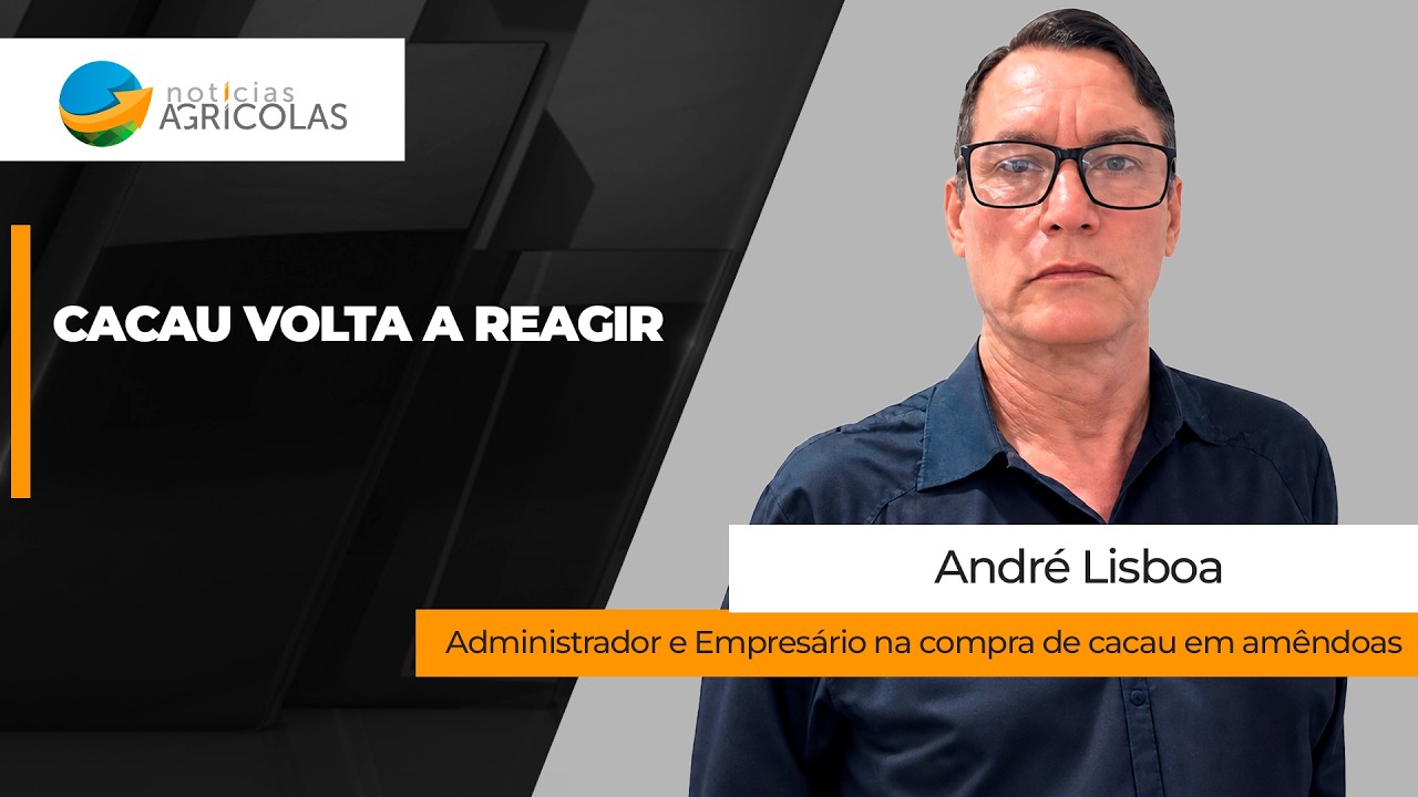 Cacau volta a reagir nas bolsas internacionais, mas mercado interno não acompanha