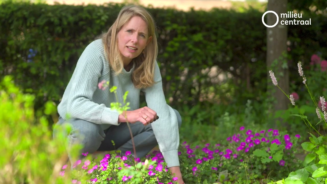 Zo maak je je tuin klimaatbestendig