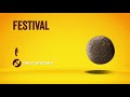 Sausas maistas šunims Josera Festival 12,5 kg