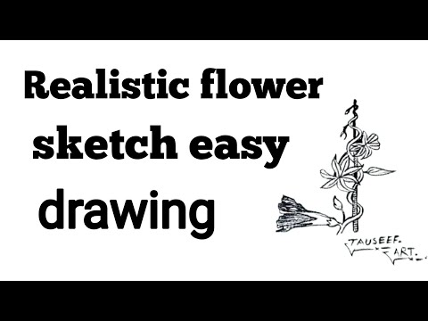 Beautiful Flower Drawing | Easy Pencil Art for Beginners | Tauseef Art #pencildrawing 