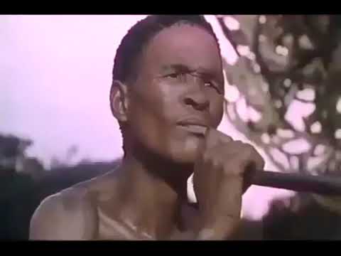 JAH GUIDE AND PROTECT LOAD  The Gods Must Be Crazy 2   English subtitles   Movie 4u