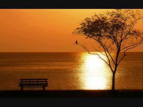 Thumbnail for Alive In This Moment video