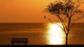 Starfield - Alive In This Moment