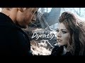 Clary Jace Dynasty