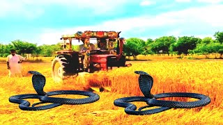 Wheat Cutting New Machine 2024 🥲 || Reaper || Tractor ||